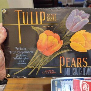 Brand New Porcelain Ande Rooney Tulip Pears Sign In Original Shrink Wrap